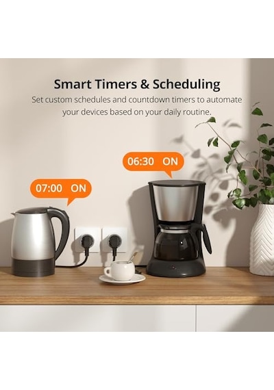 Ayrex Sonoff S60 Zigbee Akıllı Priz