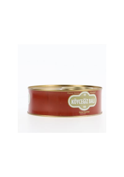 Köyceğiz Balı Çiçek Balı Teneke 850 G