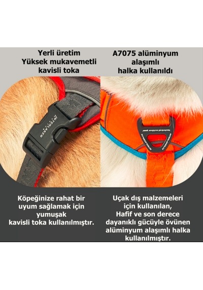 Interlaken Earthtech Slim 3.0 Köpek Göğüs Tasması Mavi - Turuncu L Mavi - Turuncu