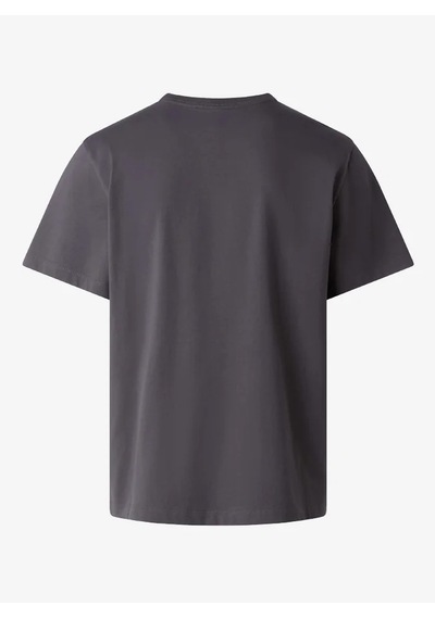 The North Face Nf0a8gqe-dom Essential Center Logo Relaxed Short Erkek T-shirt Gri