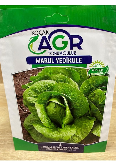 Agr Marul Yedikule Tohumu Marul