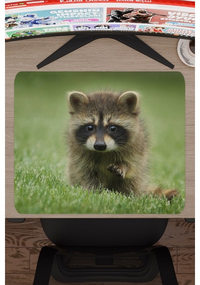 Rakun Kaymaz Dikişli Kauçuk Oyuncu Mousepad V2 - 48x40 Xl Gaming Mouse Pad Fare Altlığı