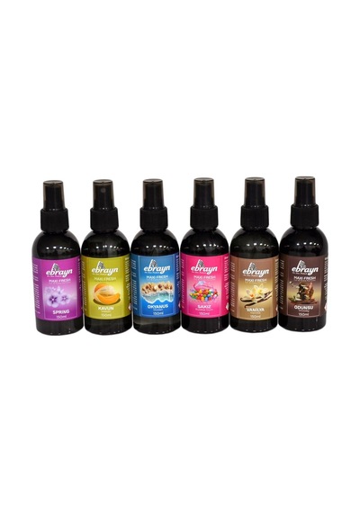 Ebrayn Maxi Fresh Oda Ve Oto Kokusu 150 Ml Tekli