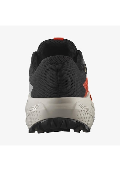 Salomon Alphaglide Gore-tex Erkek Koşu Ayakkabısı L47975300 Gri