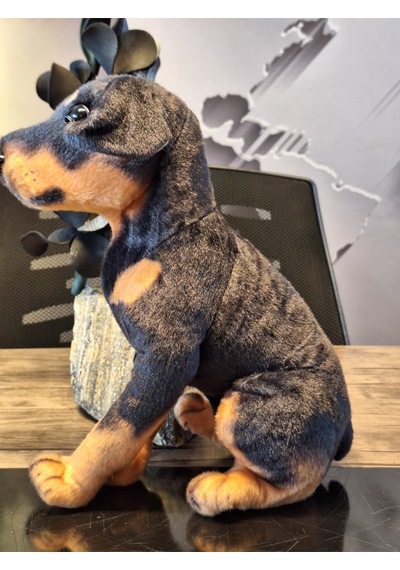 Sevimli Doberman Köpeği 35cm Siyah