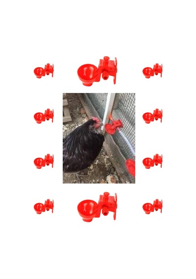 Biltek Otomatik Tavuk ve Civciv Suluk 10 Adet + 1 Adet Depo Aparatı