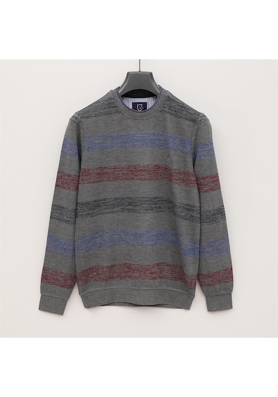 Dio Rise Erkek Uzun Kol İnce Sweatshirt - Czt-105 - Füme Füme