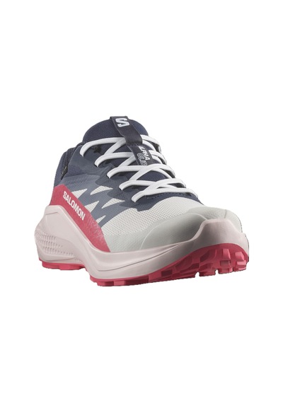 Salomon Alphaglıde Gore-tex Kadın Ayakkabısı L47802300 Çok Renkli