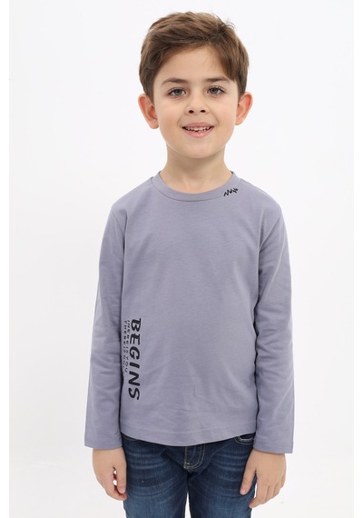 Toontoy Erkek Çocuk Baskılı Tişört Gri