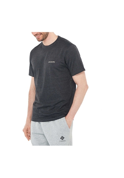 Columbia CSC M Basic Logo Brushed Erkek Kısa Kollu T-Shirt Gri Antrasit Melanj Columbia CSC M Basic Logo Brushed Erkek Kısa Kollu T-Shirt Gri Antrasit Melanj