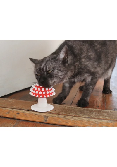 Pureysma Görünümlü Kedi Kaşıma Oyuncağı Tımar Catnip Uy Beyaz - Kırmızı