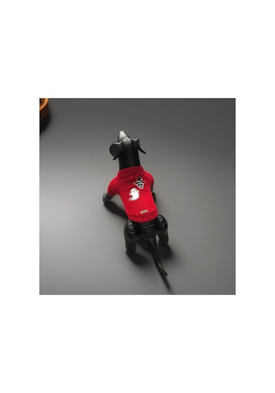 Kedi Ve Köpek İçin Kırmızı Cadılar Bayramı Kazağı