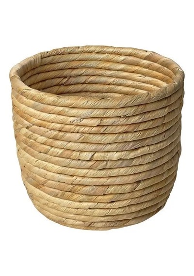 Ikea Sandödla Rattan Saksı , Su Sümbülü, 15 Cm -