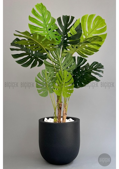 Yapay Monstera Ağacı Deve Tabani 180 Cm Antresi T Çeşme Saksıda Antresit