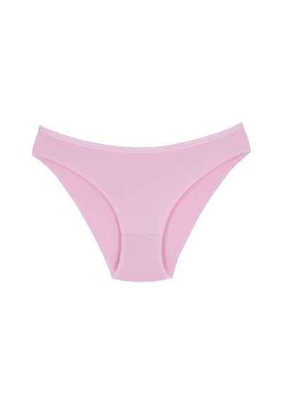 1001 Kadın 5'lı Günlük Slip Külot V19-Pembe-Lila-Somon-Mint-Vizon Çok Renkli