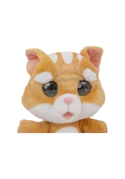 Emotion Pets Evcil Hayvanlar Kedi Kahverengi
