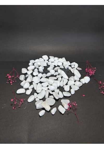 5 Kg Doğal Beyaz Dolomit Taşı 2-4 Cm Saksı Üstü Dekoratif Taş, Sukulent & Kaktüs Taşı