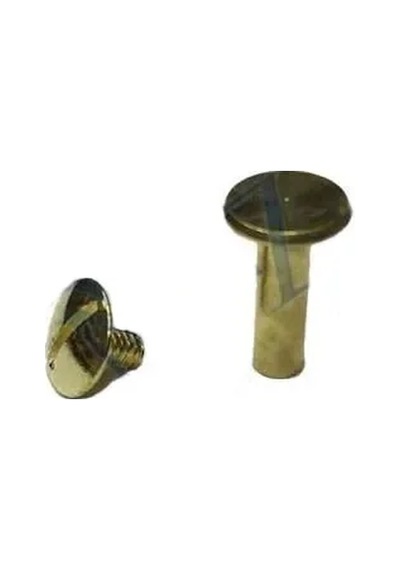 Ers Cilt Menü, Katalog, Kartela Vidası, 20 Mm - Sarı, 100 Adet Çok Renkli