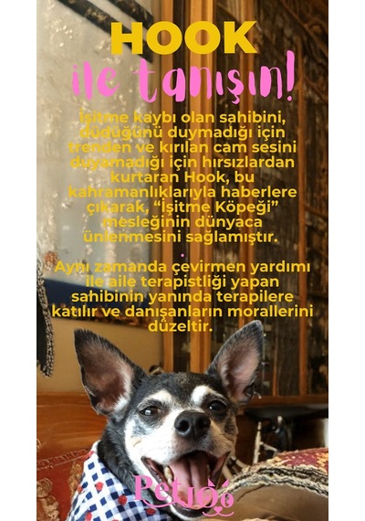 Petjoo 7.Hook Pembe-Sarı Qr'lı Köpek Künyesi