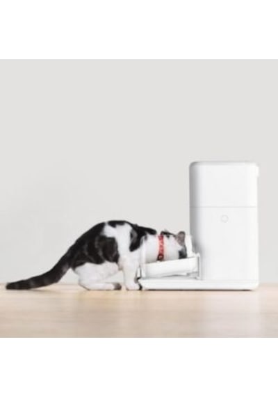 Catlink Cl-fd-02 Pro Otomatik Mama Kabı 4l