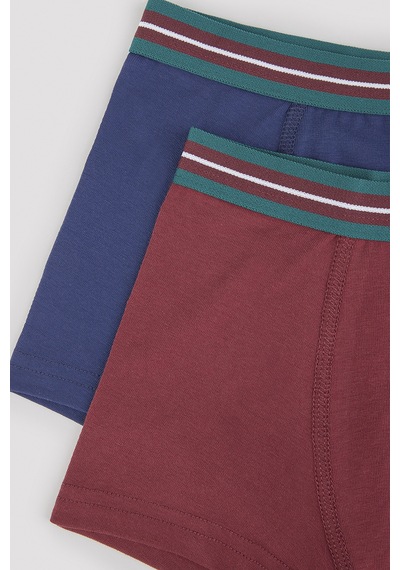 Penti Erkek Çocuk Simple Bn 2'li Boxer Çok Renkli