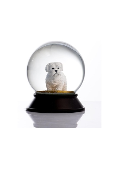 Cam Ve Reçine Altın Patiler Köpek Maltese Terrier Kar Küresi Hediye