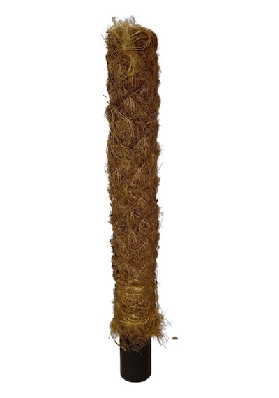 Yosun Bitki Destek Çubuğu (40 CM)