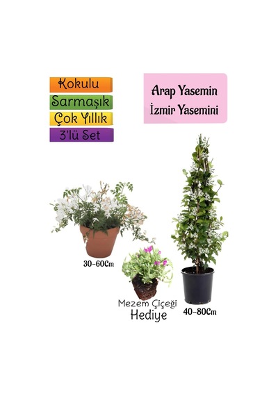 Kokulu Arap Yasemini+klasik İzmir Yasemin+mezem Çiçeği 3'lü Bahçe Seti