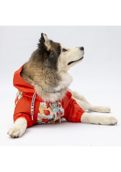 Ottawa Büyük Irk Köpek Mont Köpek Yağmurluk Köpek Kıyafeti Köpek Elbisesi