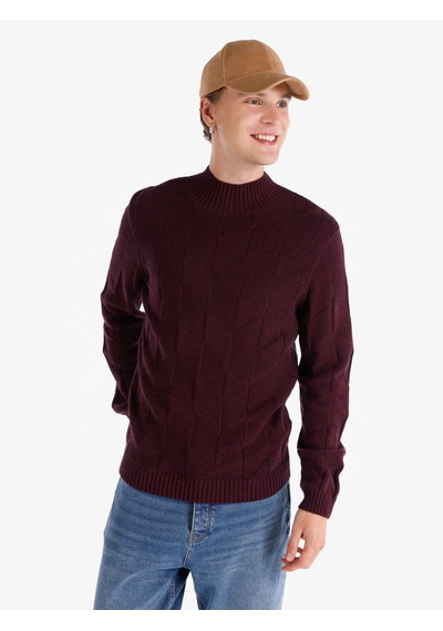 Colin's Colins Regular Fit Balıkçı Yaka Mor Erkek Kazak Cl1065745 Mor