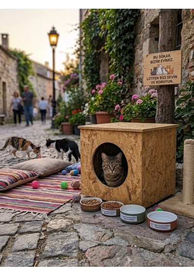 Osb Kedi Ve Küçük Köpek Evi Kübik