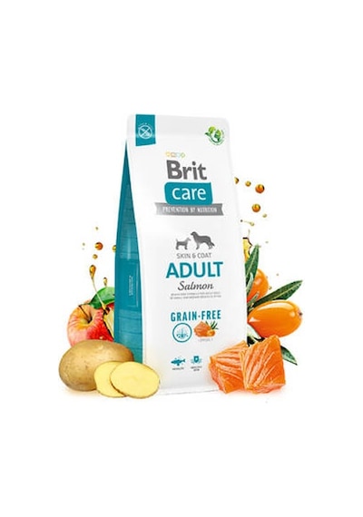 Skin Coat Somonlu Tahılsız Yetişkin Köpek Maması 3 Kg