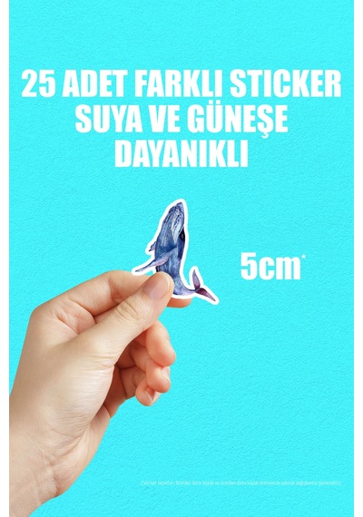 Balıklar Ve Balık Çizimleri Temalı Bullet Journal Yapışkanlı Folyo Sticker Paketi 25 Adet Çok Renkli