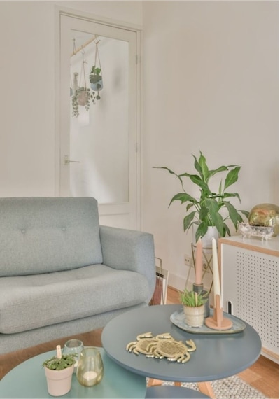 Diffuser:spring Evinizin Ruhunu Yenileyin Adaçayı