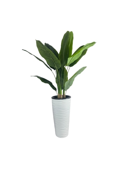 Yapay Starliçe Muz Ağacı Beyaz Kumsal Vazoda Muz Ağacı Yapay Starliçe 150cm 12 Yaprak