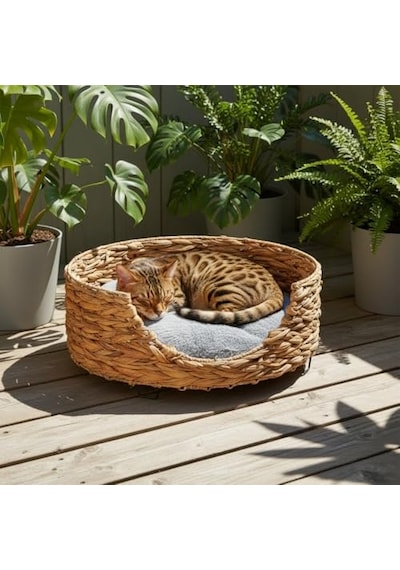 Kuzu Ciğer 100 Gram Köpek Ödül Sı