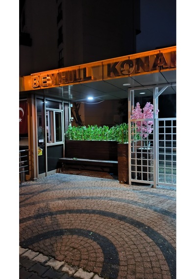 Rüzgar Yapay Çiçekçilik 50 Cm 20 Adet Bambu Yeşil