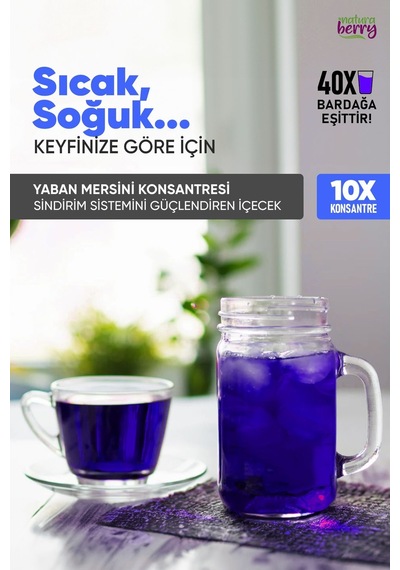 Yaban Mersini Konsantresi 700gr - 655766249 Diğer