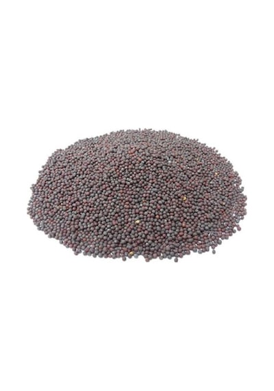 Derya Eren Hardal Tohumu Siyah 1 KG