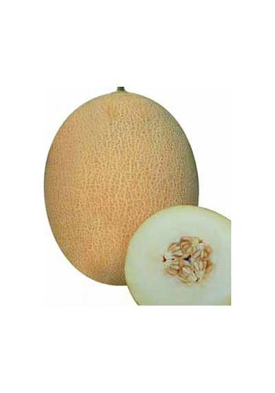 Tohumculuk Süper Paket 500 Adet Tohum Mis Kokulu Bal Ananas Kavun Tohumu