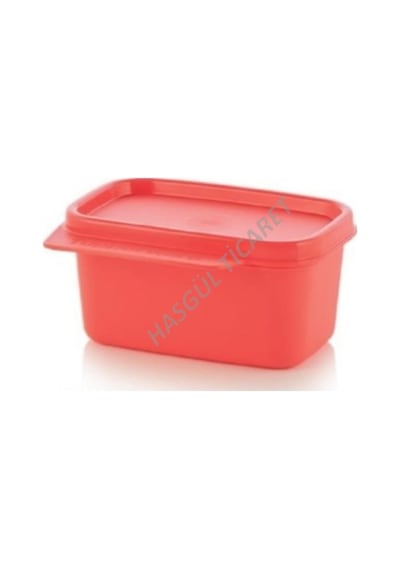 Tupperware Renkli Dörtgen Saklama Kabı 160 Ml Çok Amaçlı Saklama Turuncu