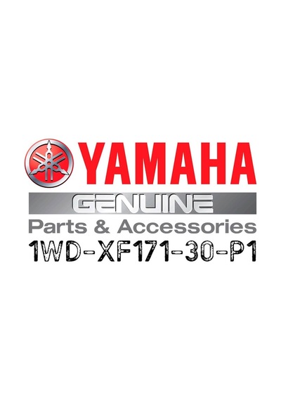 Yamaha Yzf-r25 Arka Sol Grenaj Parlak Mavi 2015