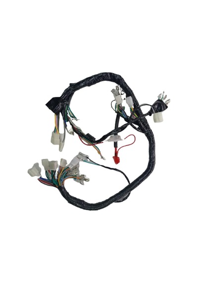 Agk Cg 125 Elektrik Tesisatı Komple Statör 5 Kablolu