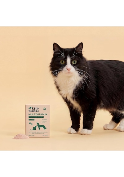 Kito Kedi Ve Köpekler İçin Multivitamin Bağışıklık Sistemi Tamamlayıcı 2g X 15 Saşe