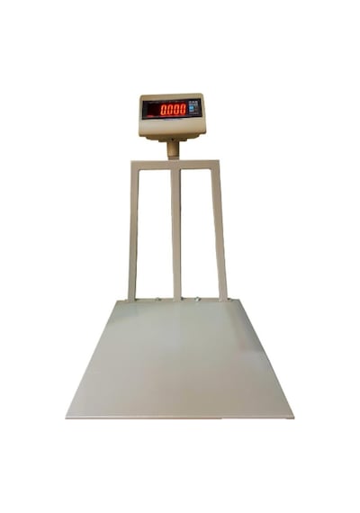 Cas Dh 150 KG Baskül
