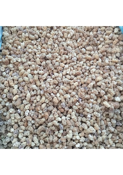 Toptan Elazığ Çekirdeksiz Kuru Dut Ekonomik 10 Kg Diğer