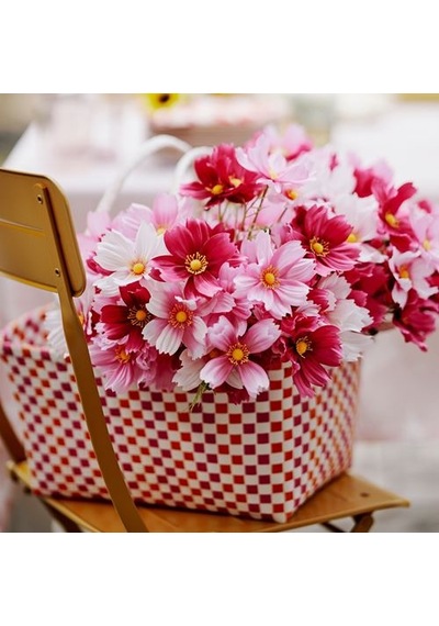 Ikea Smycka Yapay Buket, Pembe, 50 Cm, İç/dış Mekan Cosmos