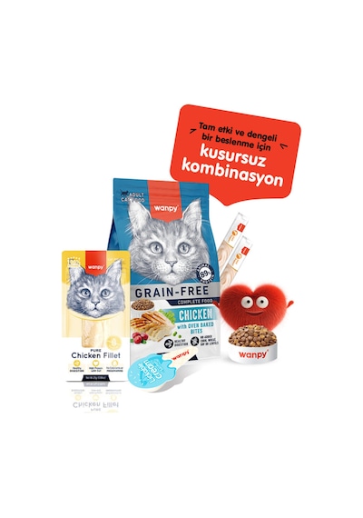 Gerçek Tavuk Fileto Kedi Ödülü 25gr Katkısız Doğal