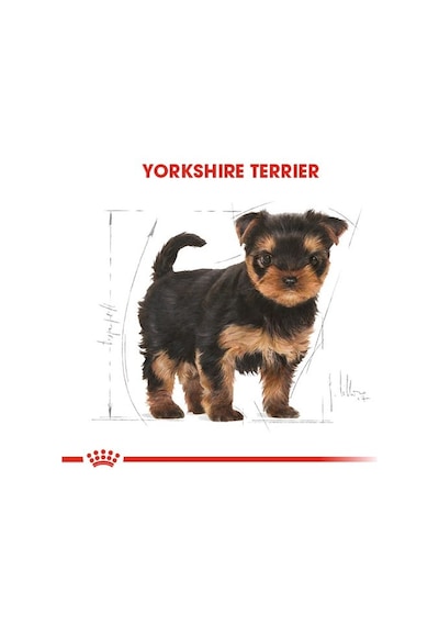 Royal Canin Yorkshire Terrier Yavru Köpek Maması 1500 G