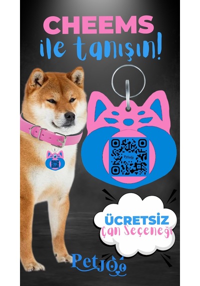 Petjoo 18.Cheems Mavi-Pembe Qr'lı Köpek Künyesi